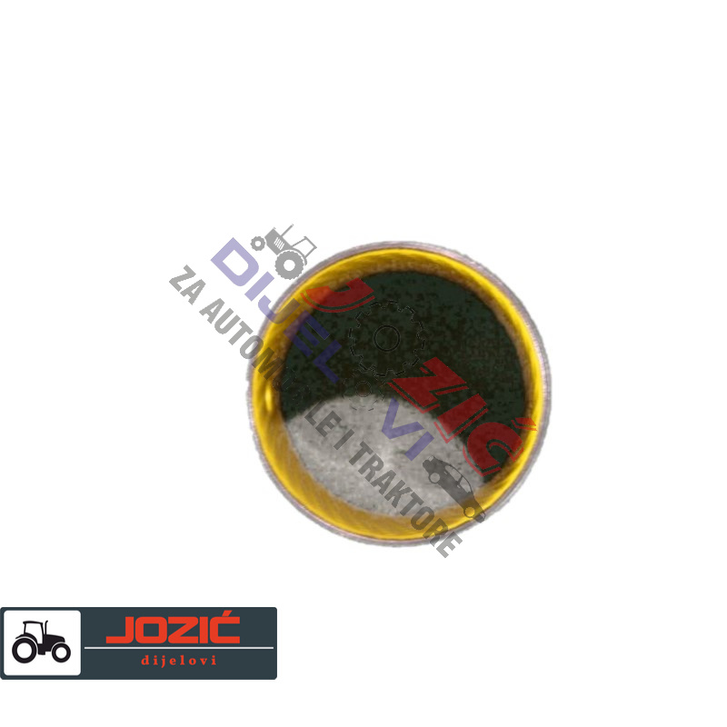 Daisy on the Ohoopee